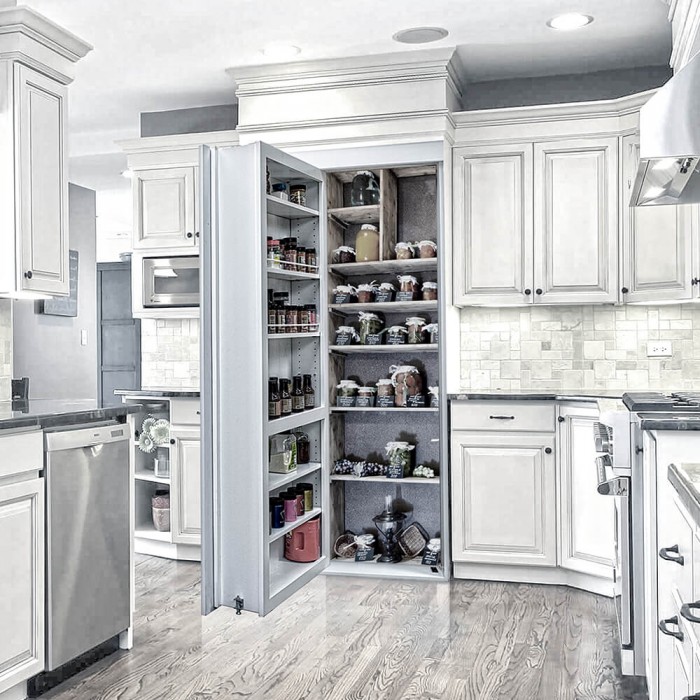 Pantry Door (Reversed) Murphy Door